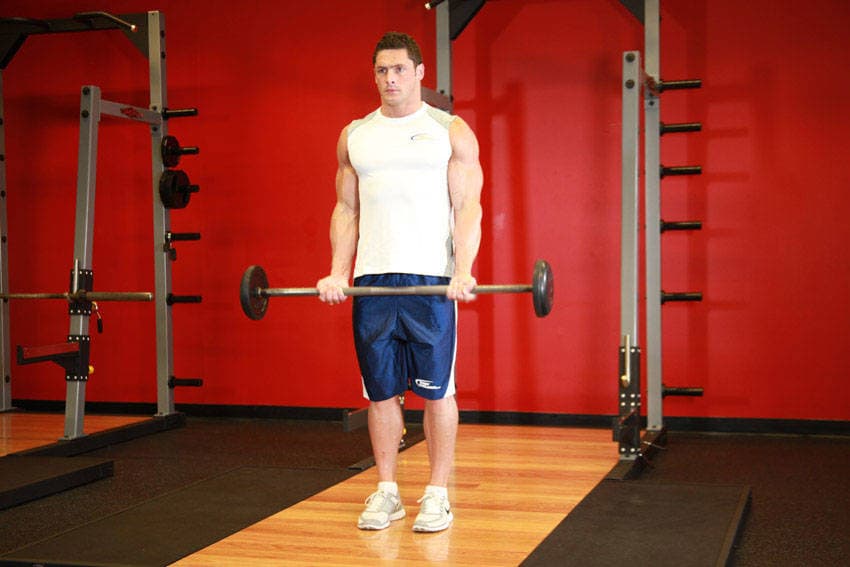 Barbell curl: start position
