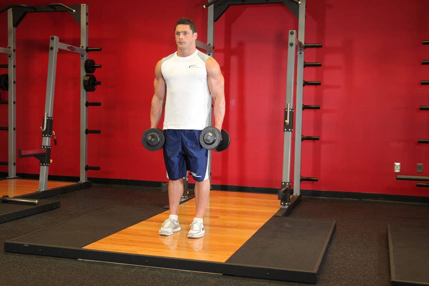 Dumbbell curl: start position