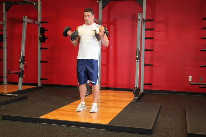 Dumbbell curl: end position