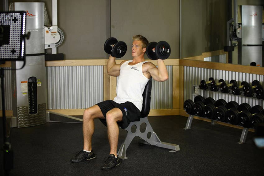 Seated dumbbell shoulder press: start position