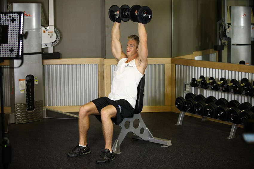 Seated dumbbell shoulder press: end position