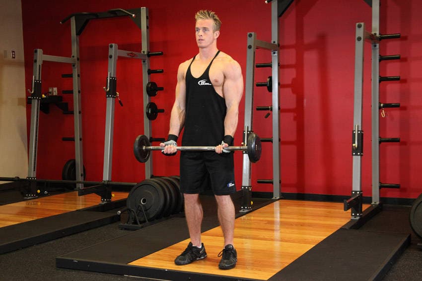 EZ-bar curl: start position