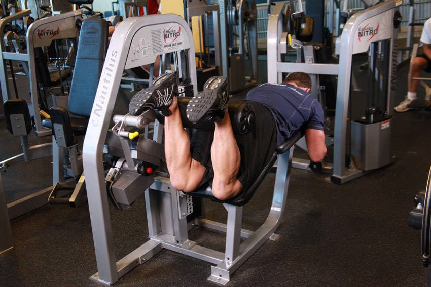 Lying leg curl: end position