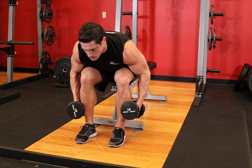 Seated bent-over rear delt raise: start position