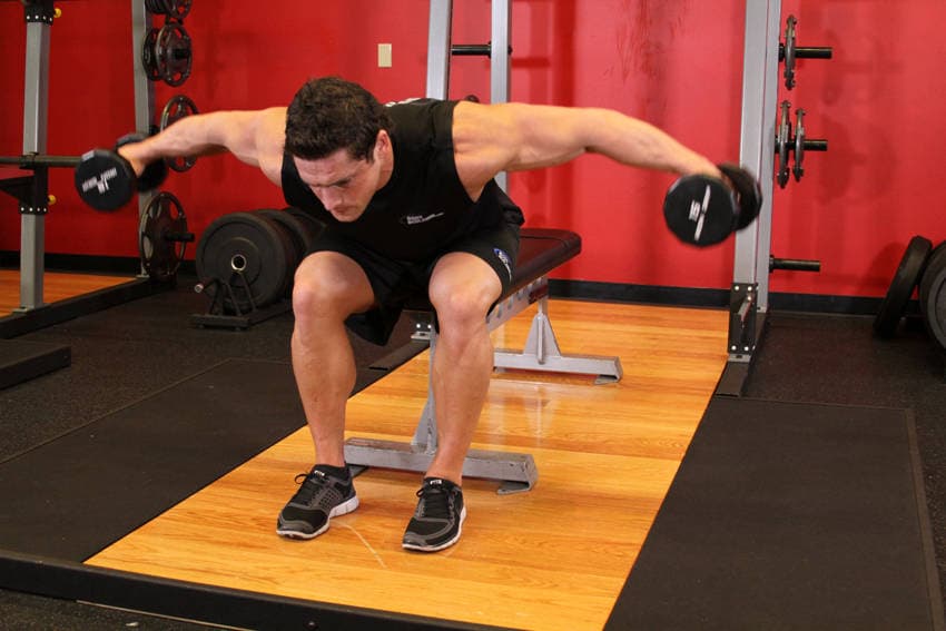 Seated bent-over rear delt raise: end position