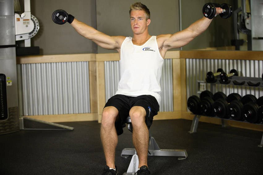 Seated dumbbell lateral raise: end position
