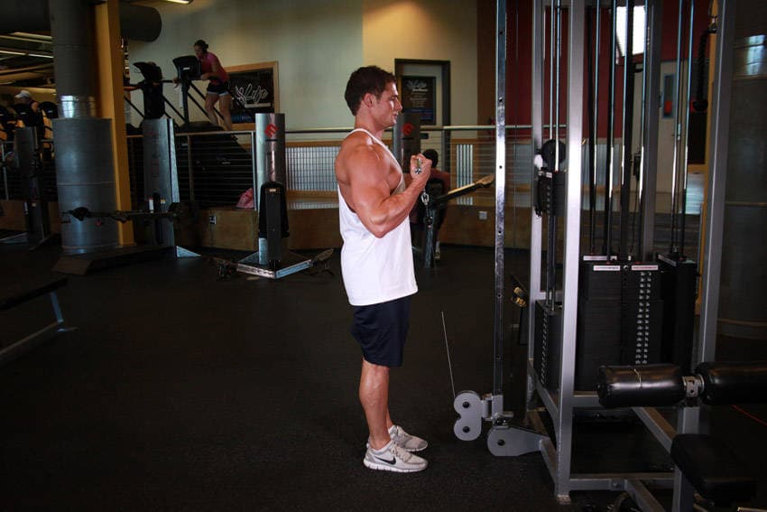 Cable curl: end position