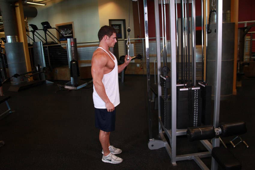 Single-arm cable pushdown: end position