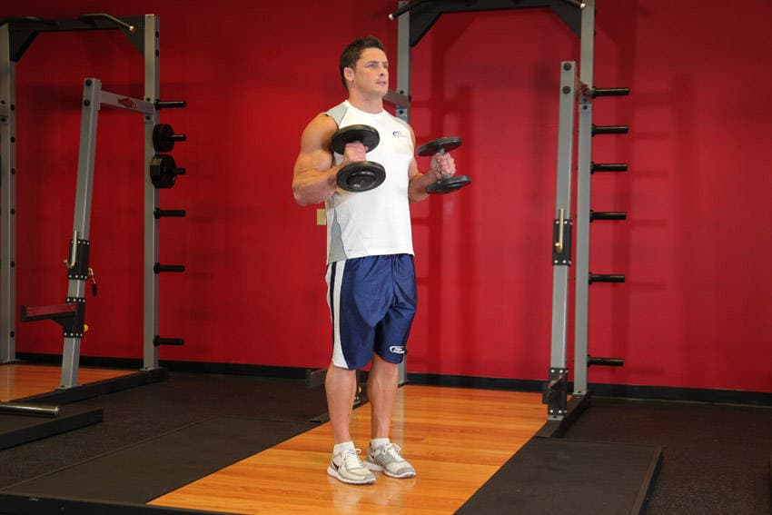 Hammer curl: end position